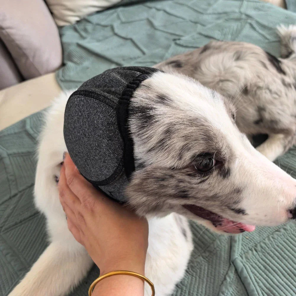 Noise Reducing Calming Pet Earmuffs