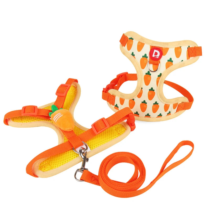 Cute Strawberry Dog Harness and Leash Set