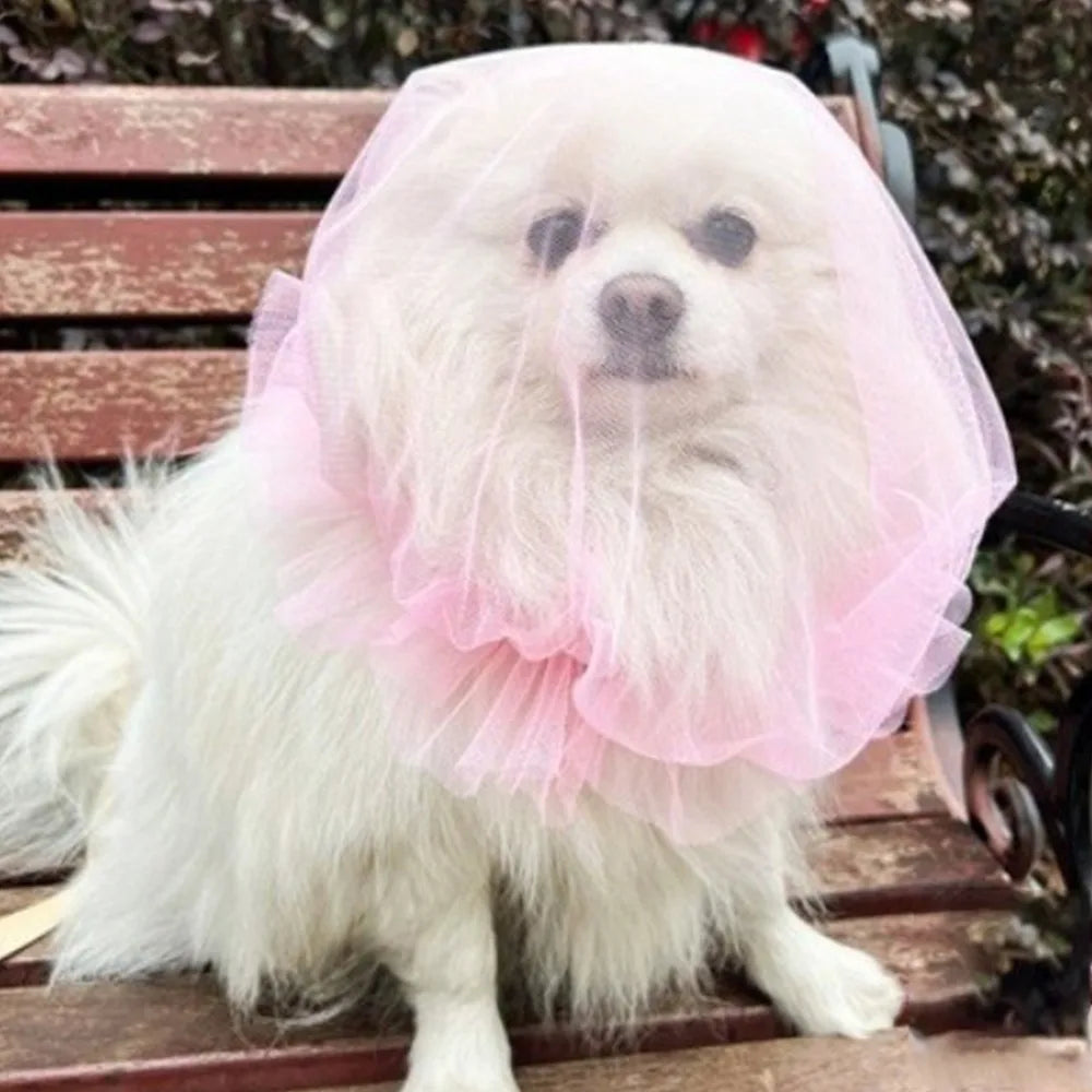 Breathable Adjustable Dog AntiBite Veil Mask