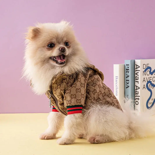 A fluffy white pomeranian wearing a tan and brown gucci gg supreme patterned luxury dog hooded jacket coat with striped cuffs