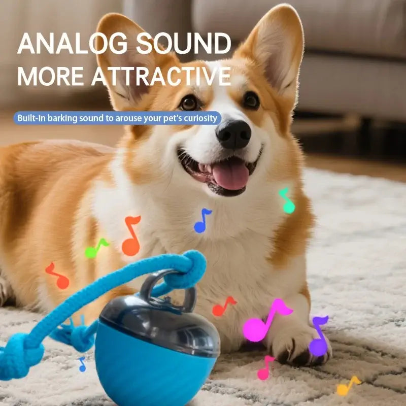 Blue rope tied interactive intelligent dog ball toy with transparent dome metallic clasp usb charging tail rope