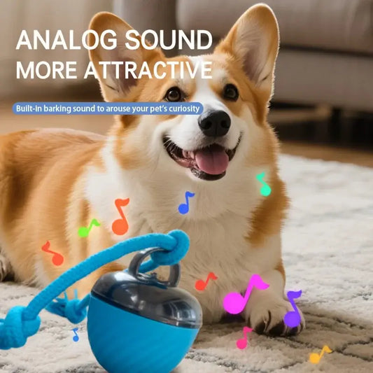 Blue rope tied interactive intelligent dog ball toy with transparent dome metallic clasp usb charging tail rope