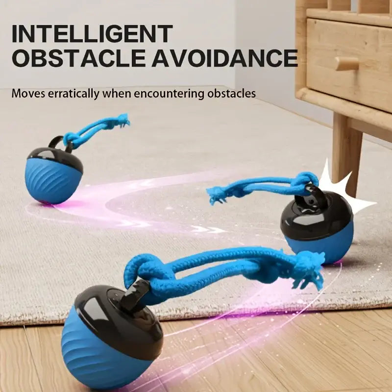 Blue and black interactive intelligent robotic cat toy with textured surface and blue rope handle for indoor pet play