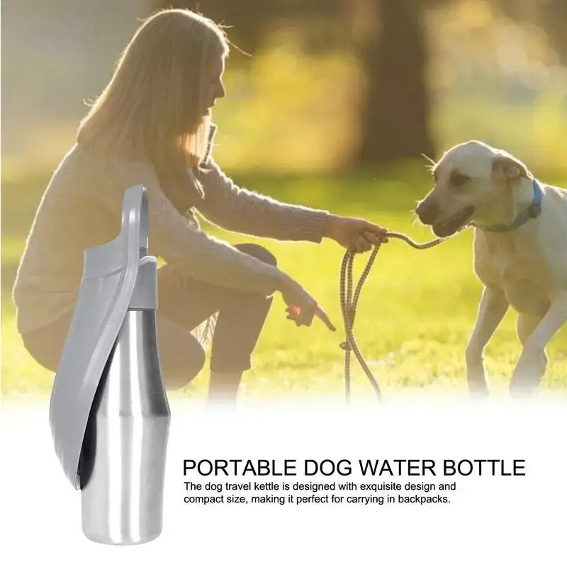 Silver stainless steel 27oz travel dog water bottle and bowl with sleek compact design and gray plastic handle for carrying