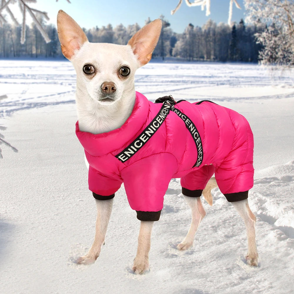 Warm Waterproof Dog Jumpsuit and Jacket