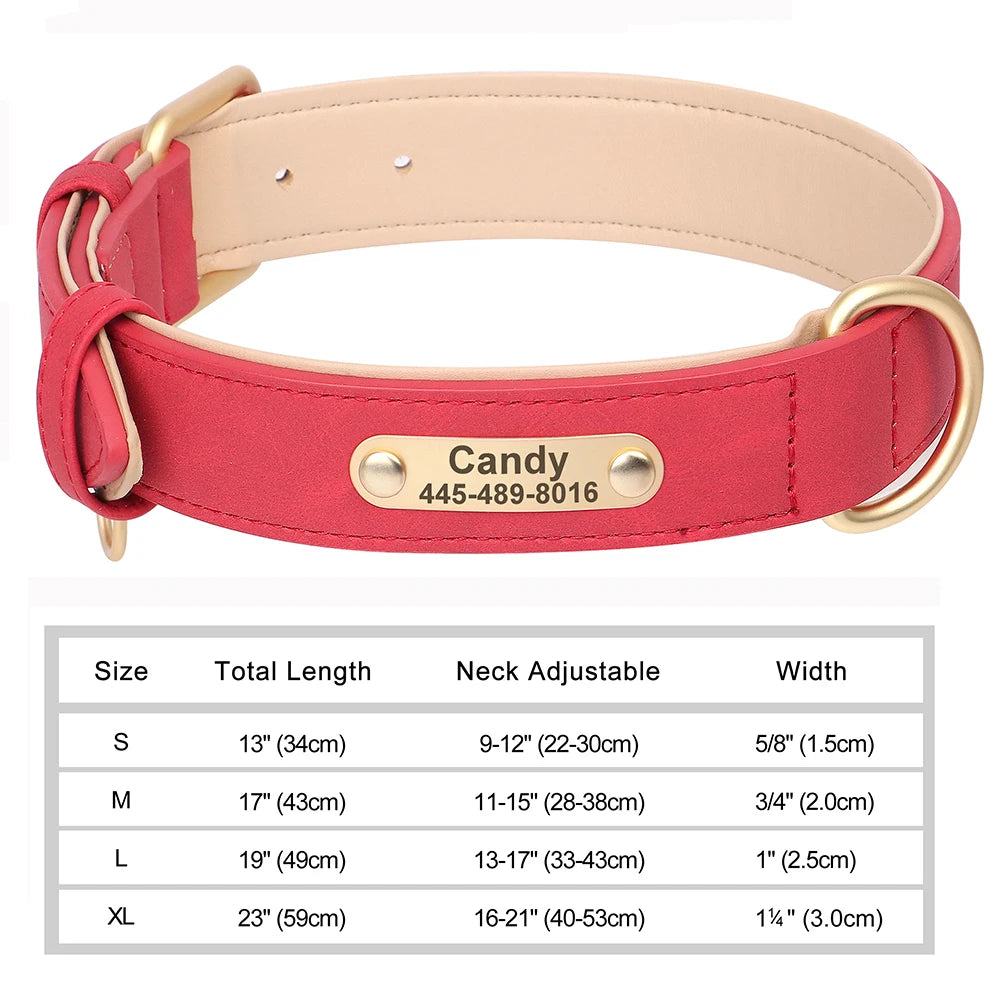 Personalized Leather Dog Collar with Engraved Nameplate