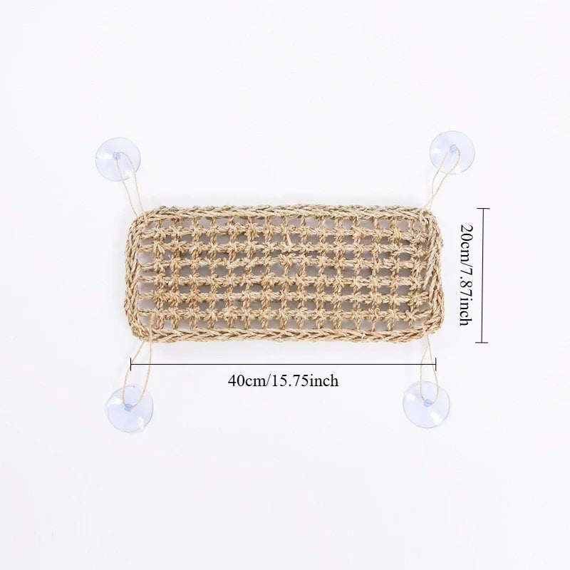 Seagrass Reptile Hammock and Suction Cup Bed