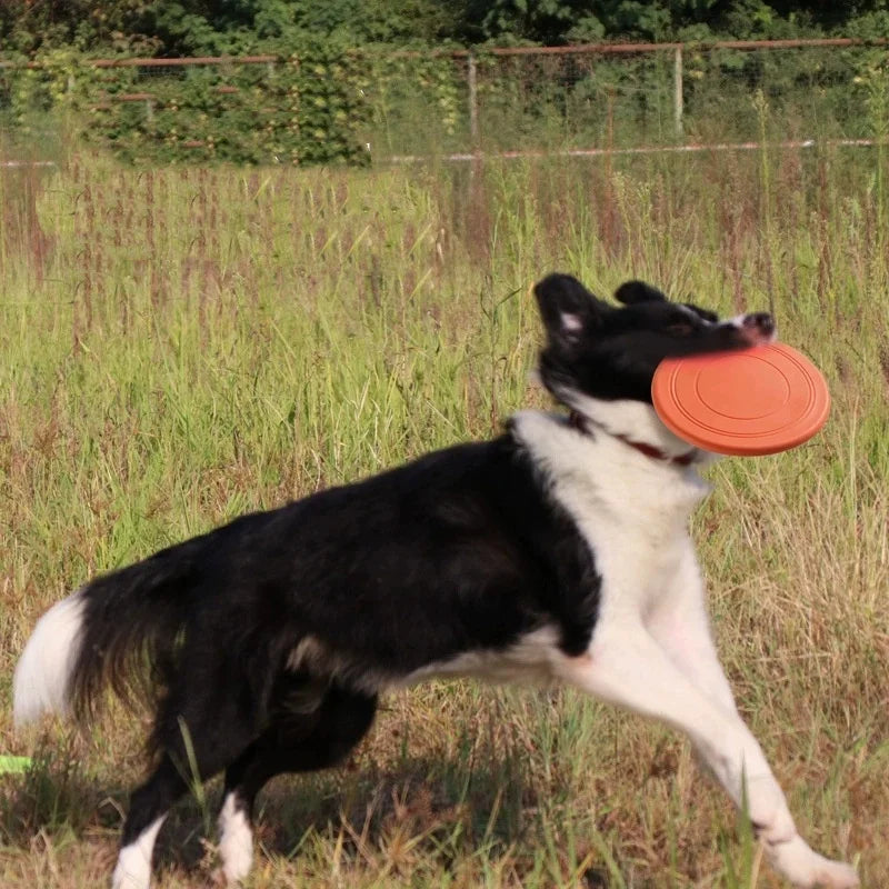 Interactive Silicone Dog Flying Saucer Toy