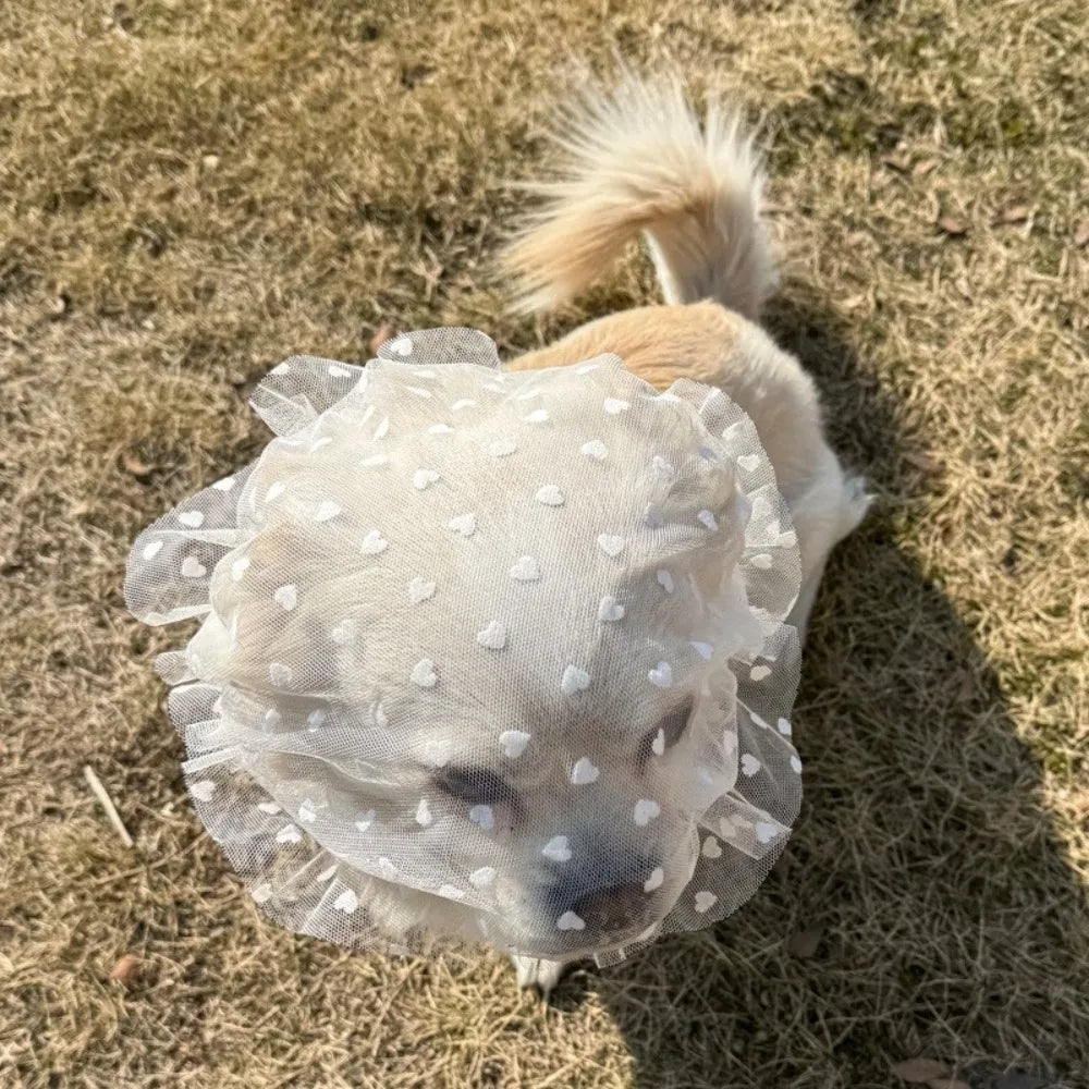 Breathable Adjustable Dog AntiBite Veil Mask