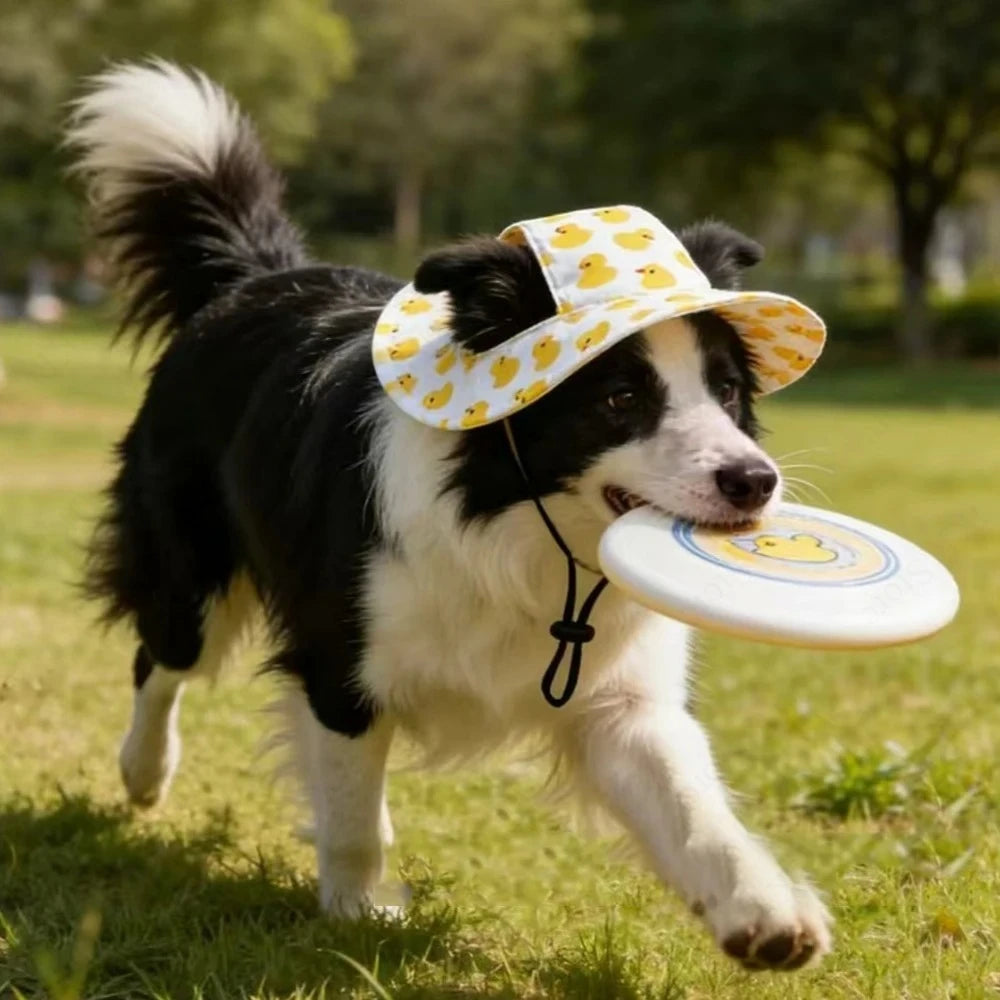 Adjustable Printed Dog Hat for Small and Medium Pets
