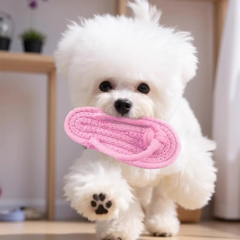 Interactive Cotton Slipper Rope Dog Toy for Teeth Training