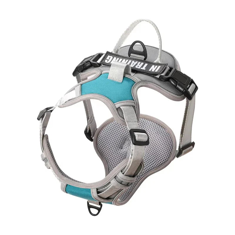 Personalized Reflective Breathable Dog Harness and Leash Set