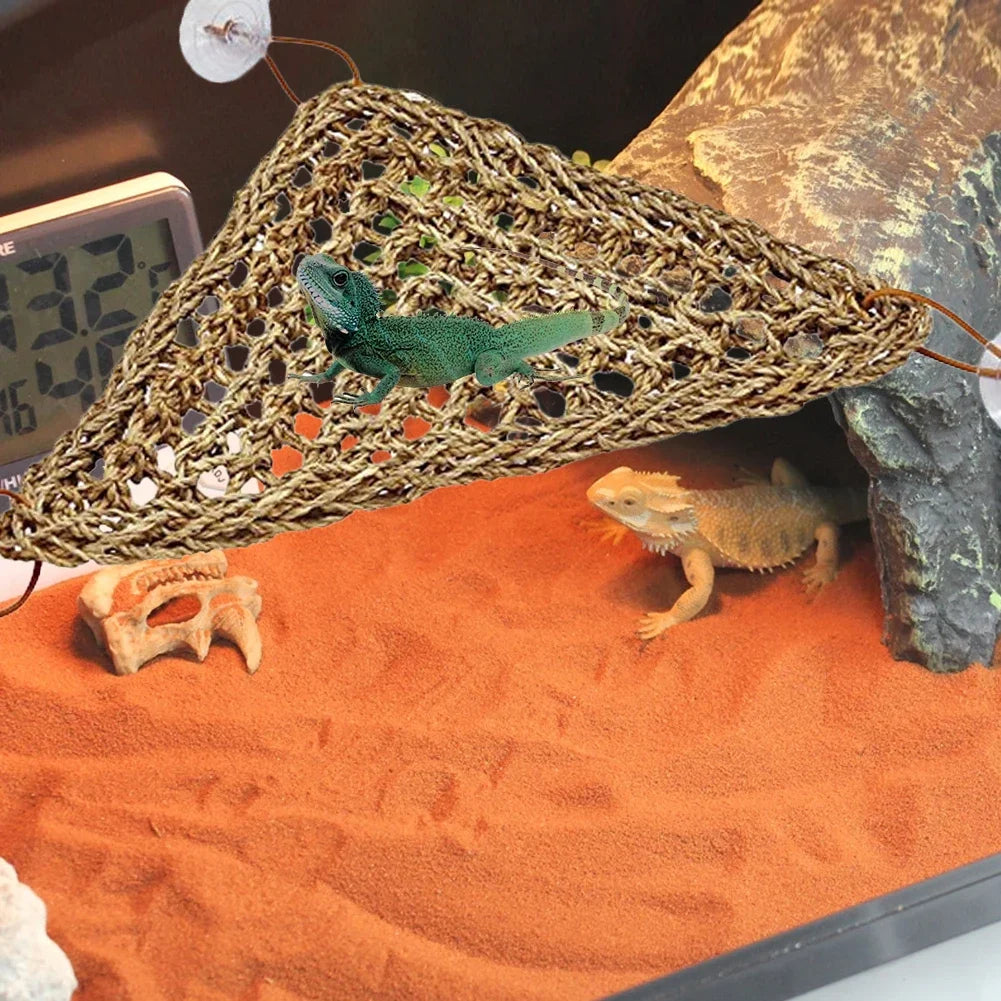Seagrass Reptile Hammock and Suction Cup Bed