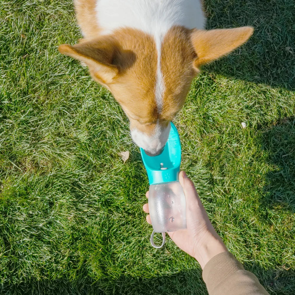 Portable 300ml Dog Water Bottle and Feeder