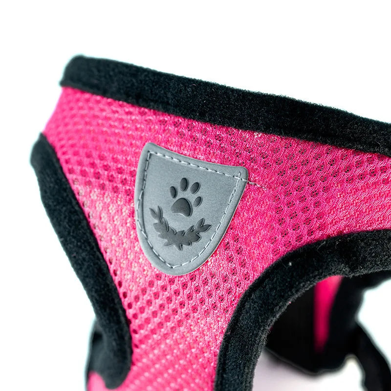 Adjustable Mesh Dog Vest and Leash Set for Small Pets