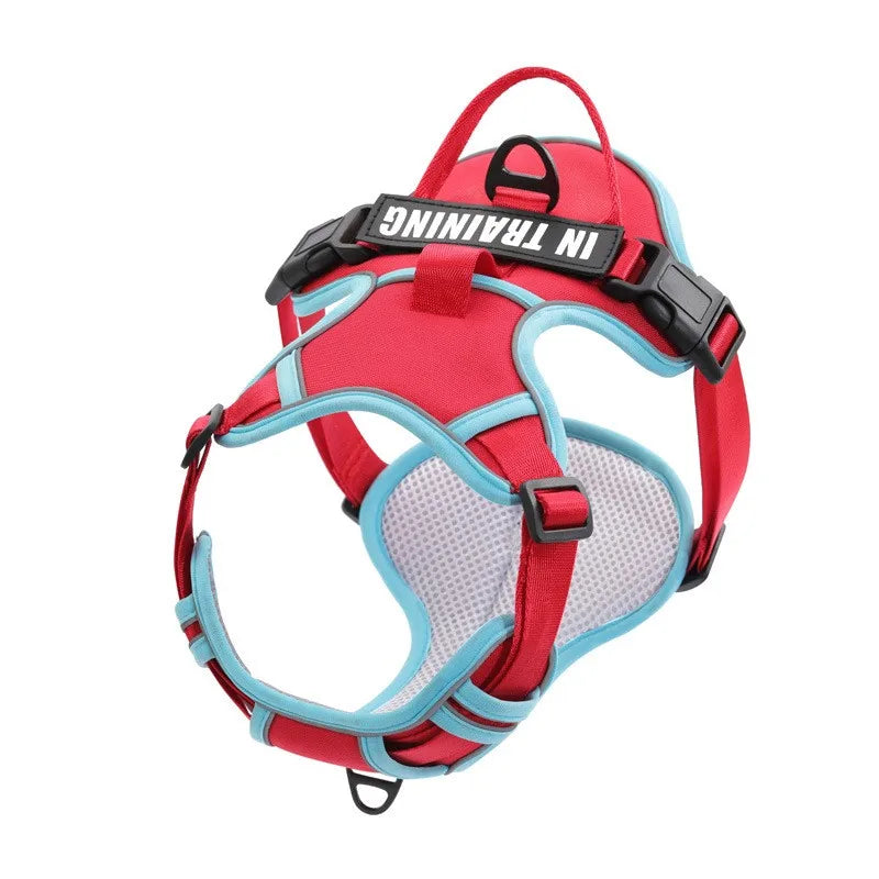 Personalized Reflective Breathable Dog Harness and Leash Set