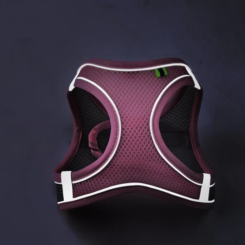 Reflective Breathable Adjustable Dog Harness And Leash Set