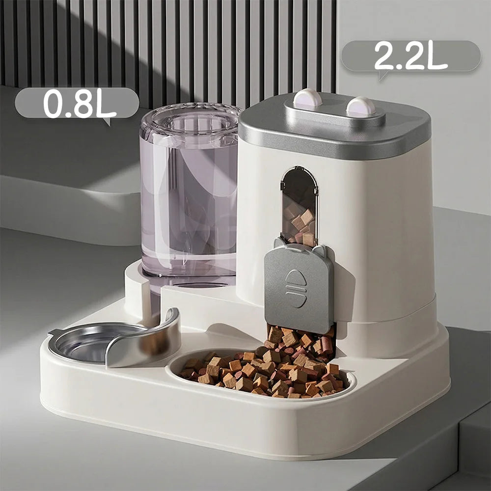 Automatic Pet Feeder and Water Fountain Bowl