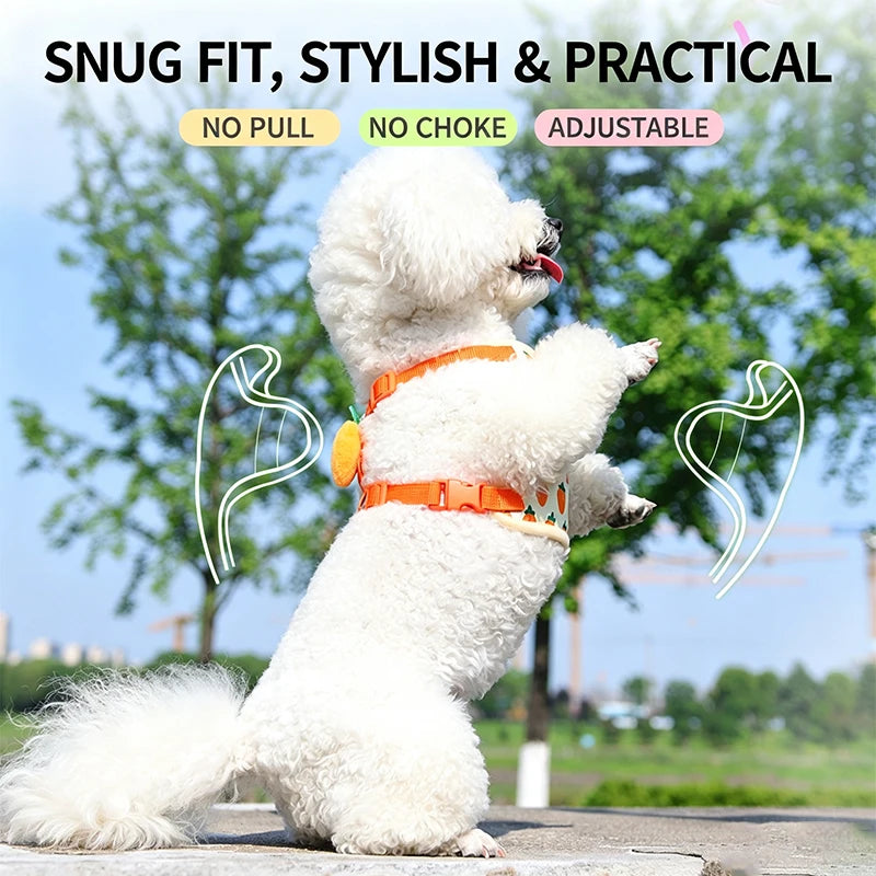 Cute Strawberry Dog Harness and Leash Set