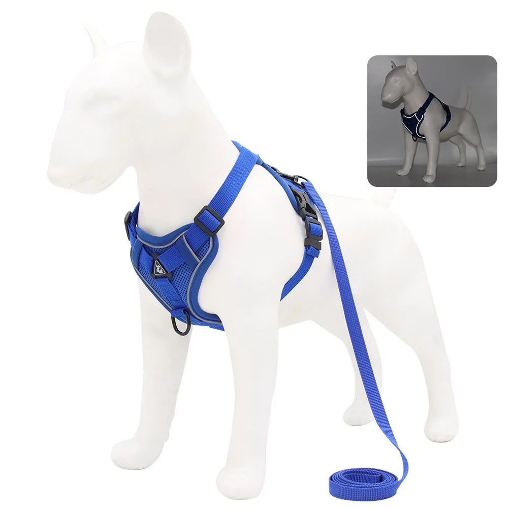 Small Dog Harness and Leash Set