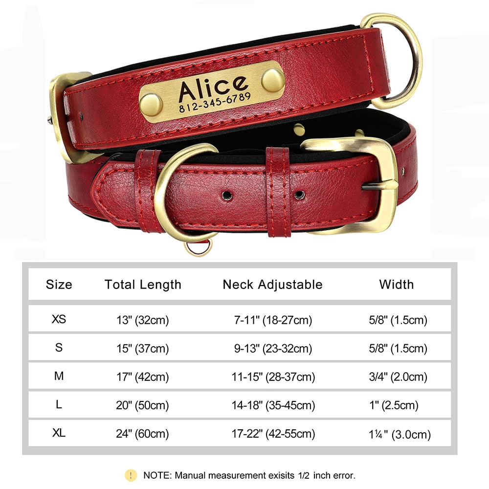Personalized Leather Dog Collar with Engraved Nameplate
