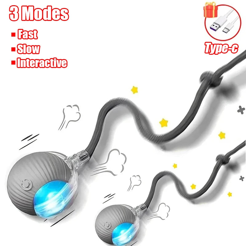 Rechargeable Interactive Rolling Cat Toy with Faux Tail
