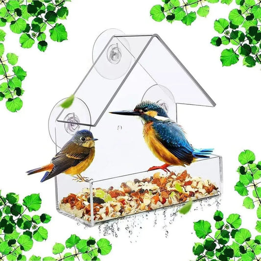 Clear Window Acrylic Hanging Bird Feeder