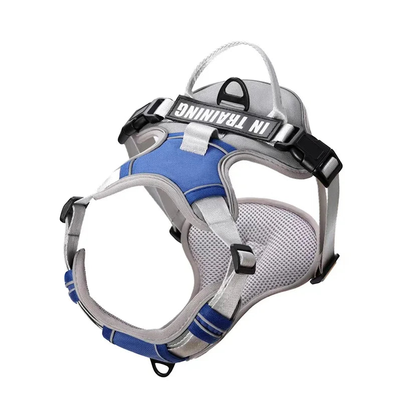 Personalized Reflective Breathable Dog Harness and Leash Set