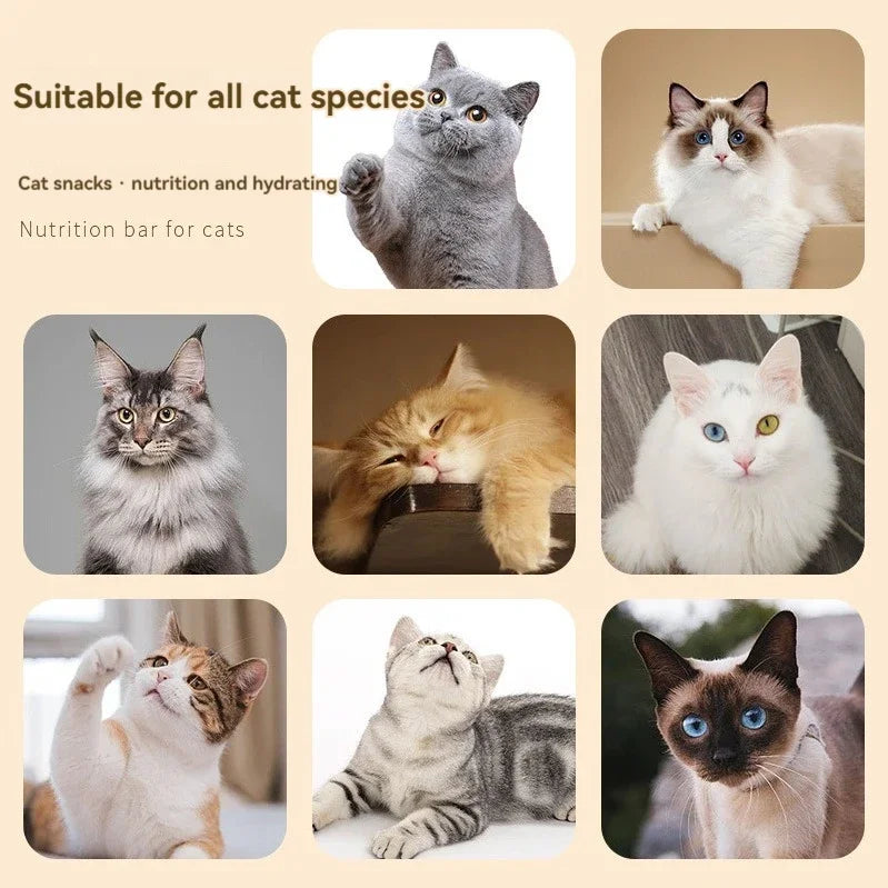 15g Cat Treat Strips 10 Pack Assorted Flavors