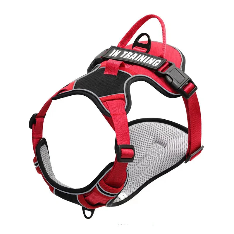 Personalized Reflective Breathable Dog Harness and Leash Set