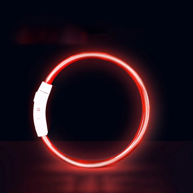 USB Rechargeable LED Pet Light Collar