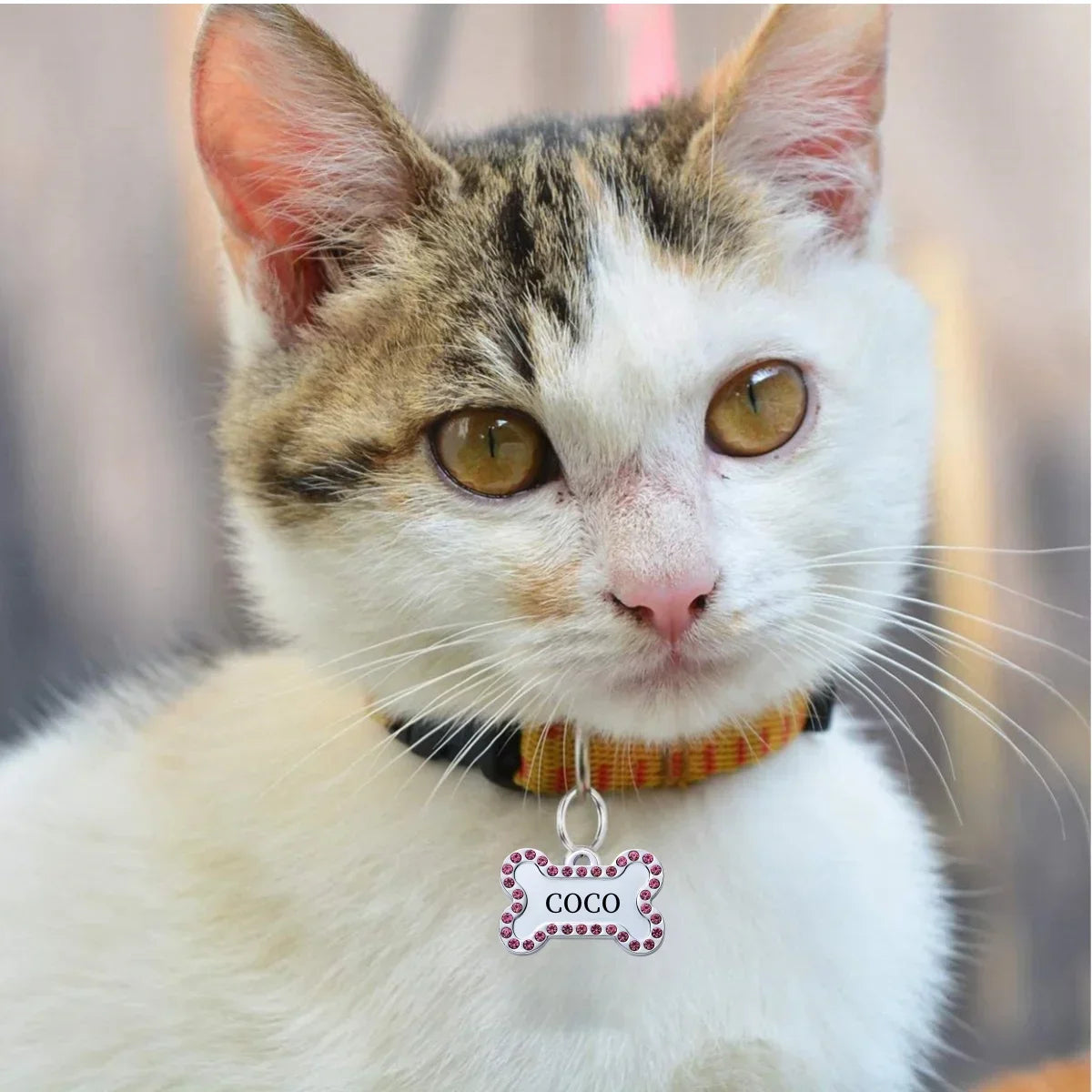 VIP Pets Personalized Bronze Engraved Dog Cat ID Tag
