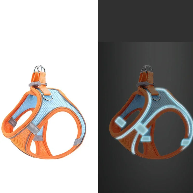 Reflective Adjustable Dog Harness And Leash Vest