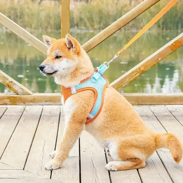 Reflective Adjustable Dog Harness And Leash Vest