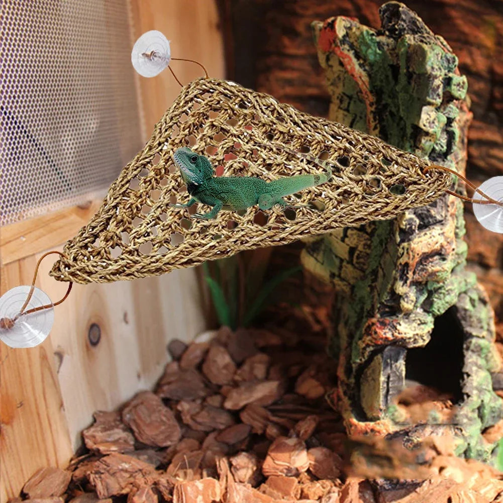 Seagrass Reptile Hammock and Suction Cup Bed