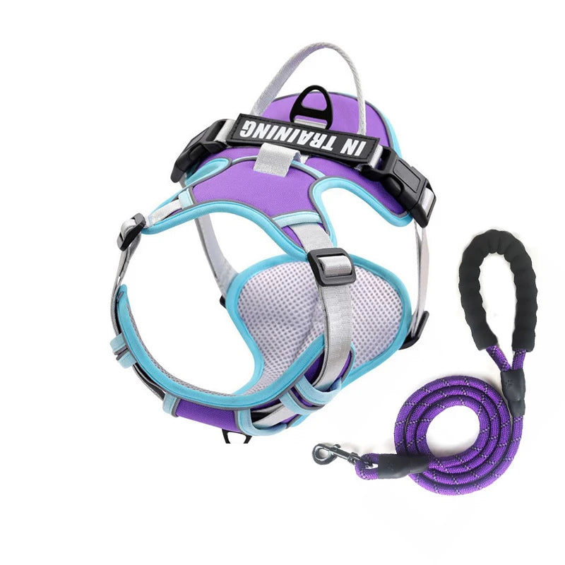 Personalized Reflective Breathable Dog Harness and Leash Set