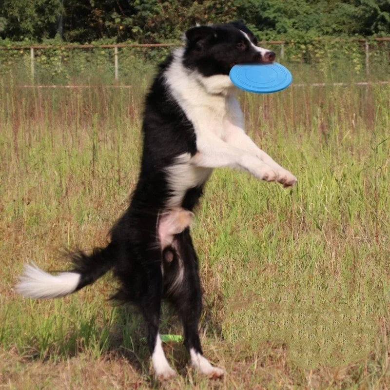 Interactive Silicone Dog Flying Saucer Toy