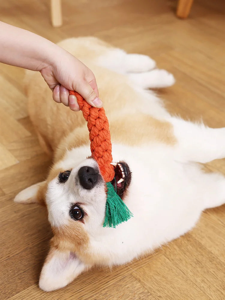 Carrot Cotton Rope Dog Chew Toy for Teeth Cleaning