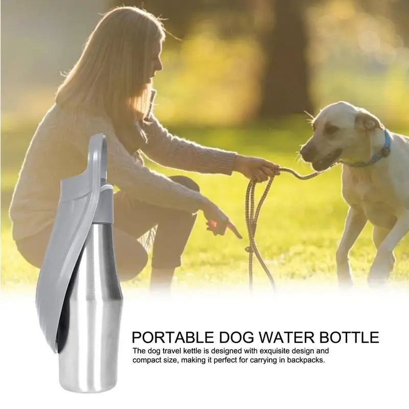 27oz Stainless Steel Travel Dog Water Bottle and Bowl