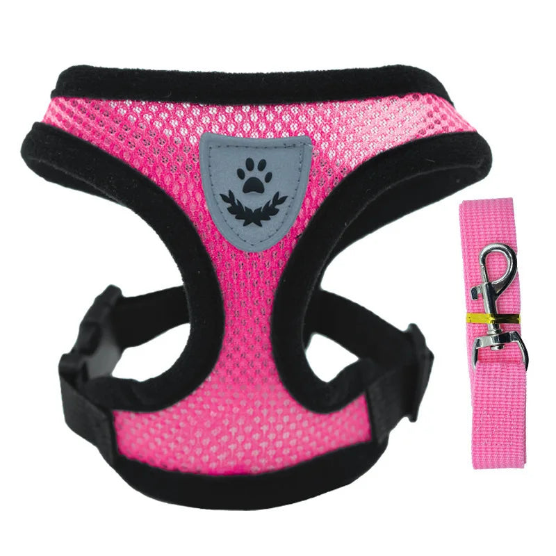 Adjustable Mesh Dog Vest and Leash Set for Small Pets