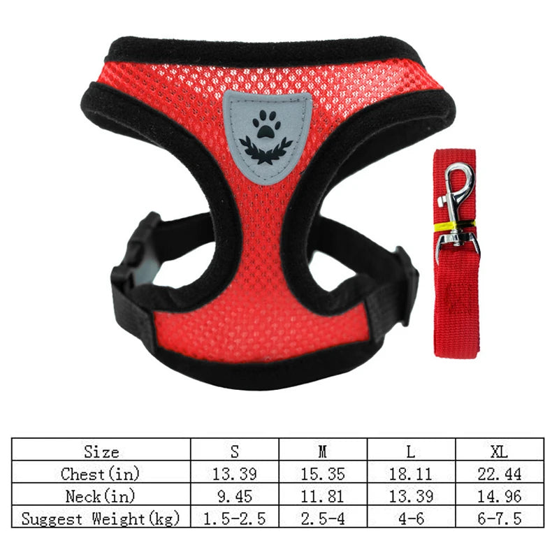 Adjustable Mesh Dog Vest and Leash Set for Small Pets