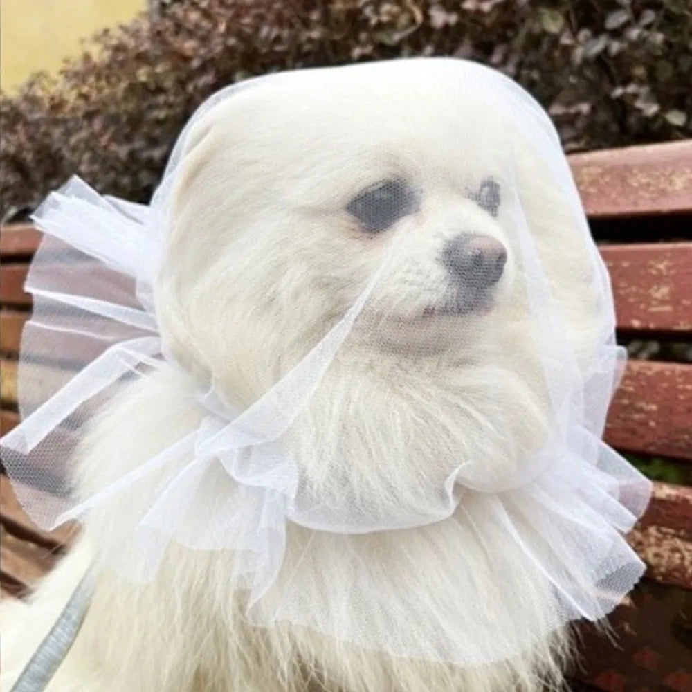 Breathable Adjustable Dog AntiBite Veil Mask