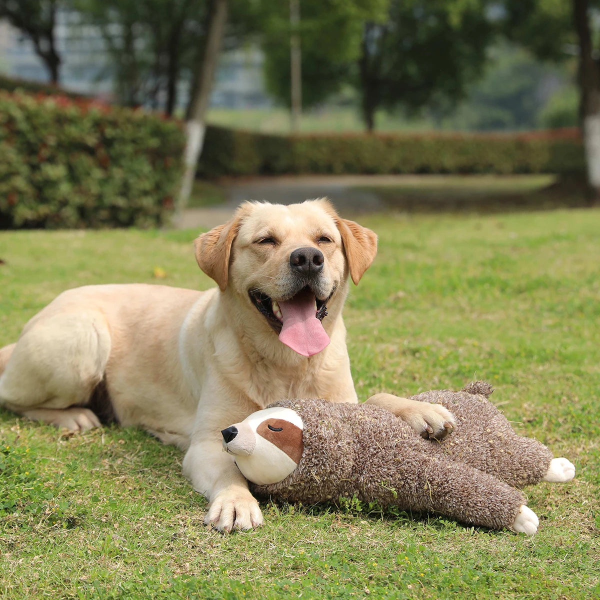 Heartbeat Plush Dog Toy for Behavioral Training