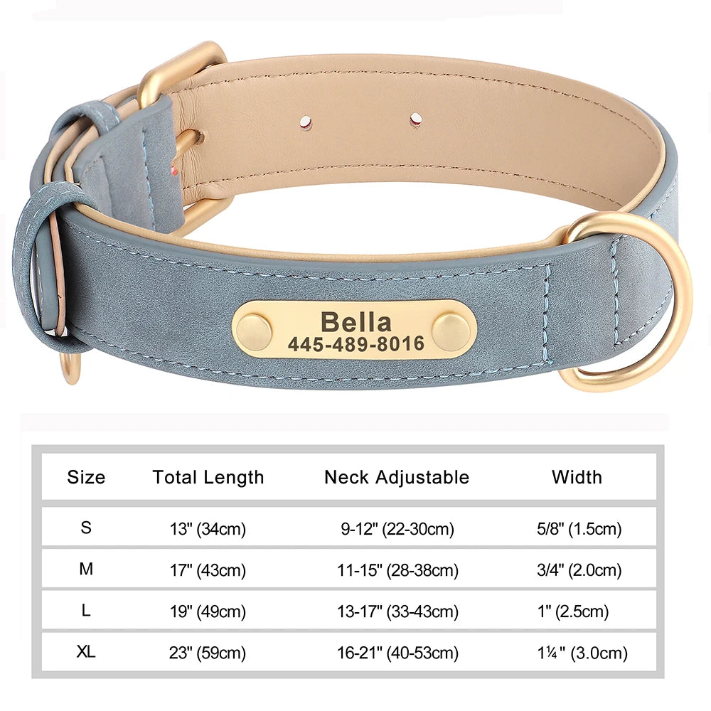 Personalized Leather Dog Collar with Engraved Nameplate