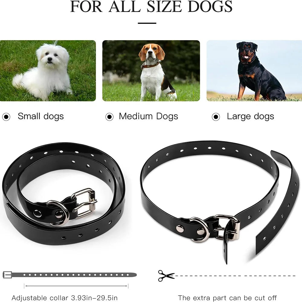 Rechargeable Electric Dog Training Collar with Clicker