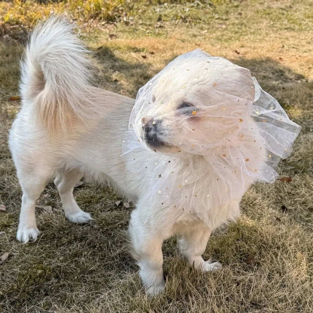 Breathable Adjustable Dog AntiBite Veil Mask