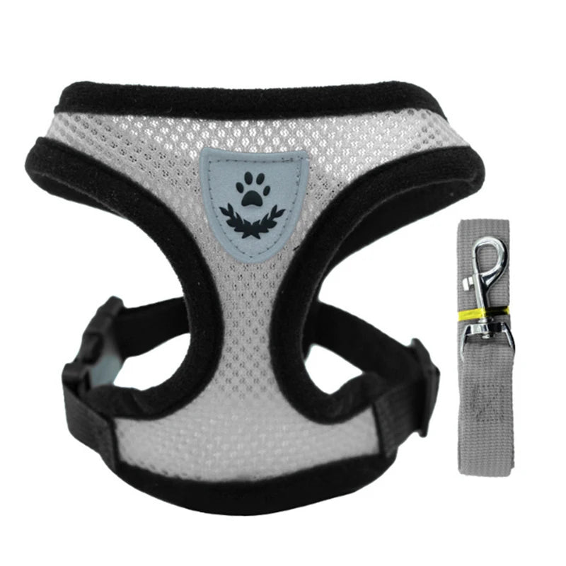 Adjustable Mesh Dog Vest and Leash Set for Small Pets
