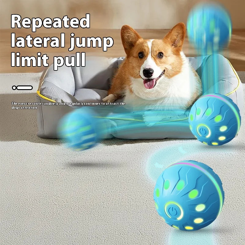 USB Rechargeable Electric Interactive Dog Ball Toy