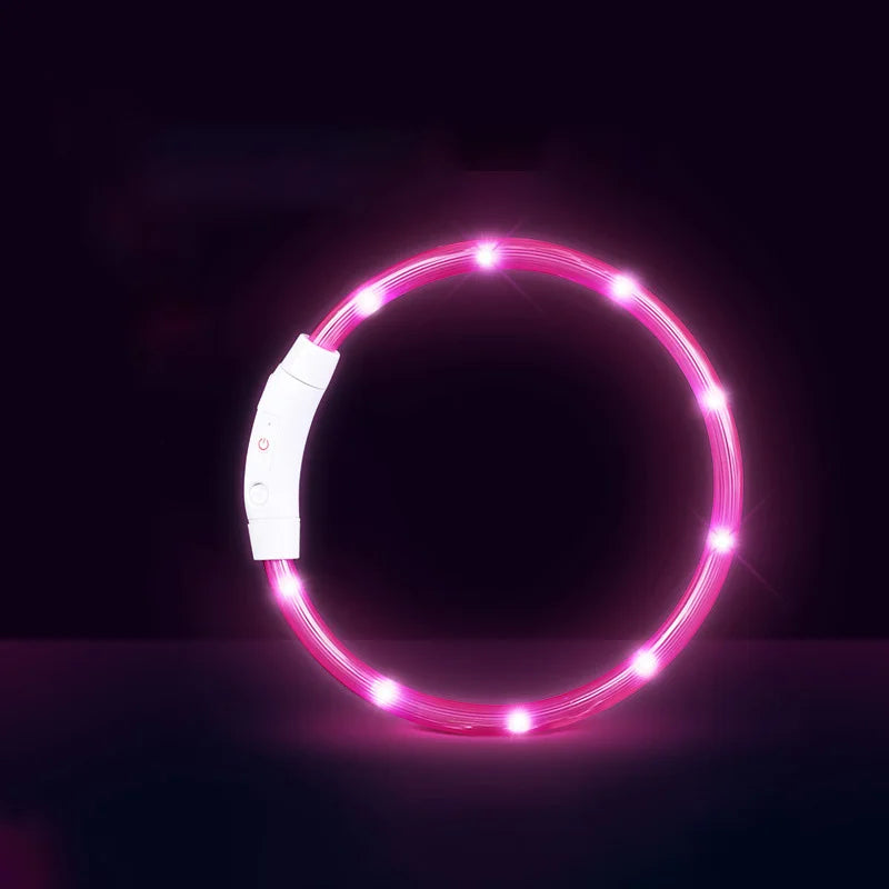 USB Rechargeable LED Pet Light Collar