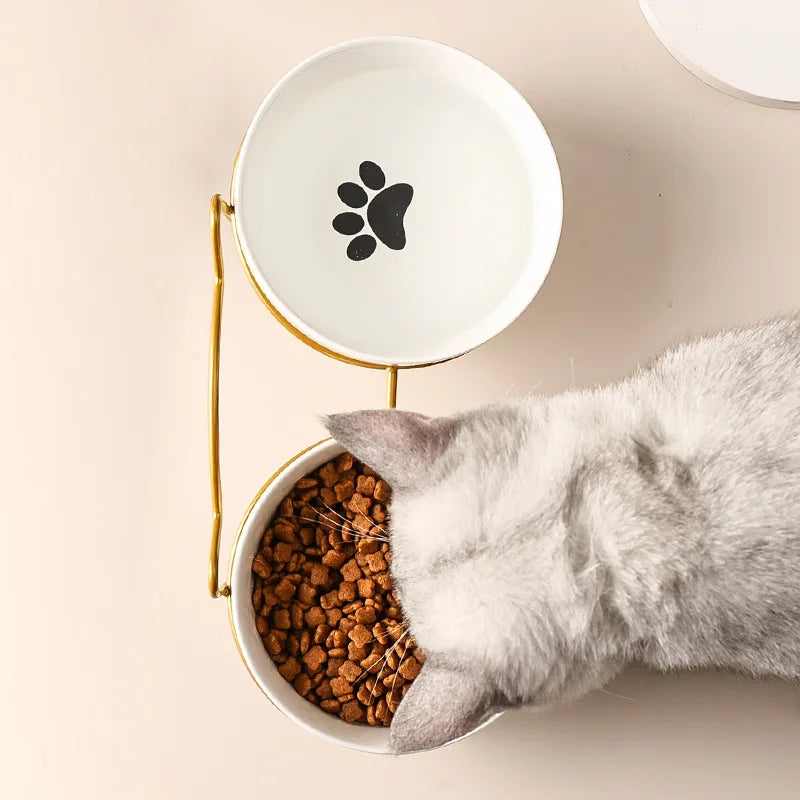 Ceramic Double Cat Bowl with Cervical Protection